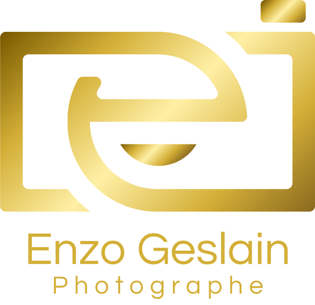 Logo Enzo Geslain